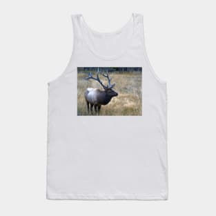 Bull Elk Tank Top